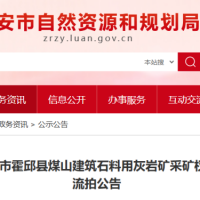起始價8億元！安徽一建筑石料用灰巖礦無人報價流拍
